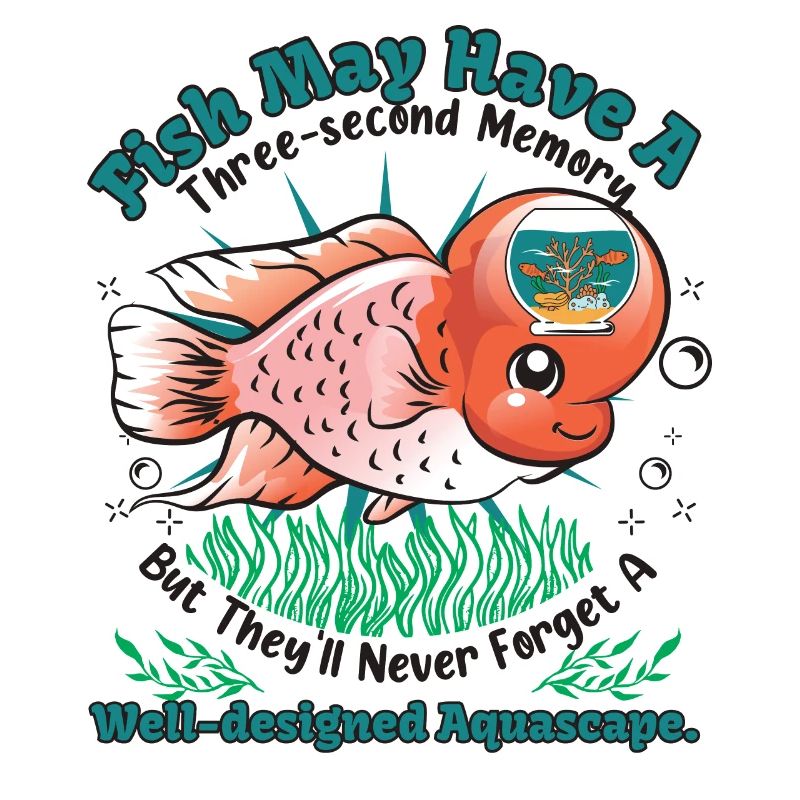 Fish may have a three-second memory