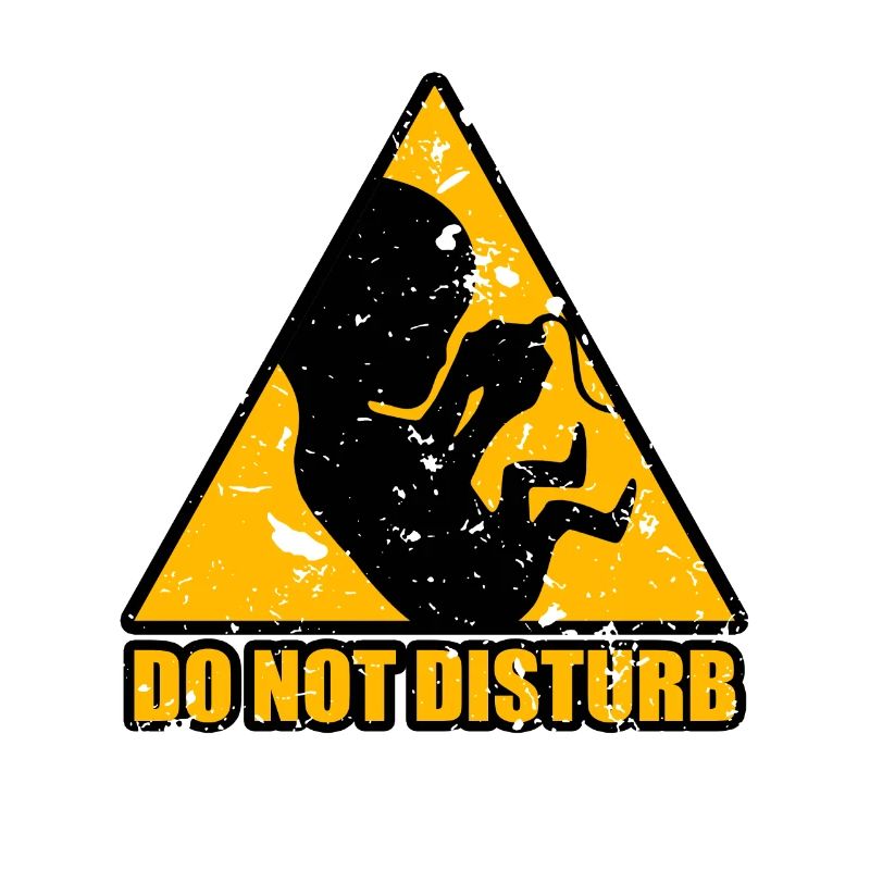 do not disturebed
