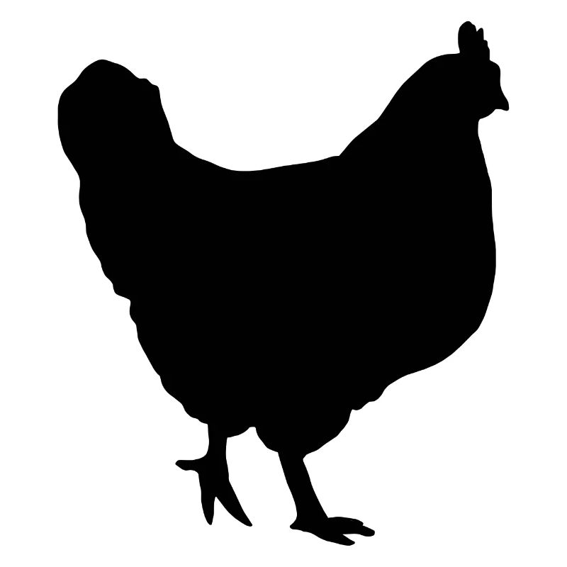 Huhn