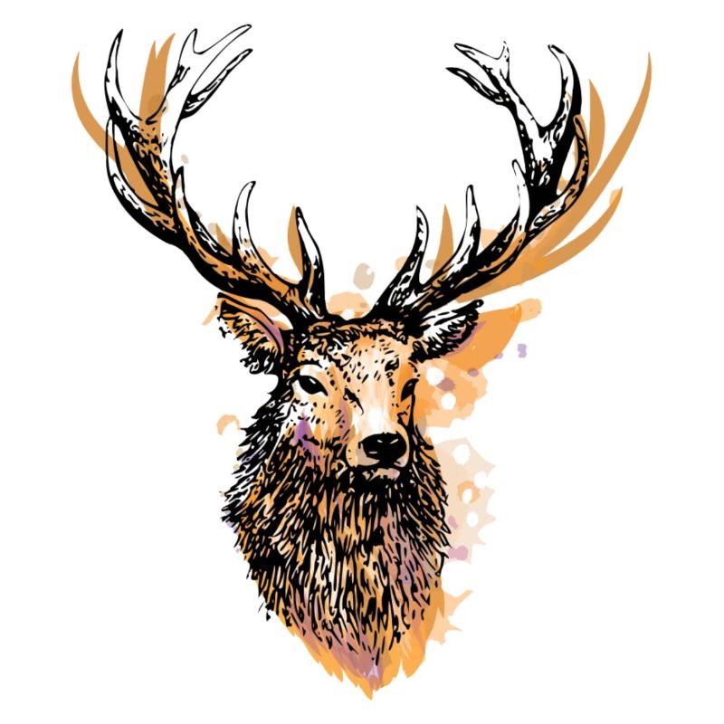 Grosser stolzer Hirsch