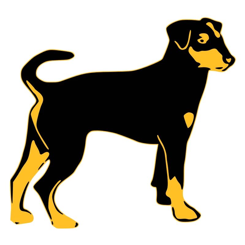 pinscher hund