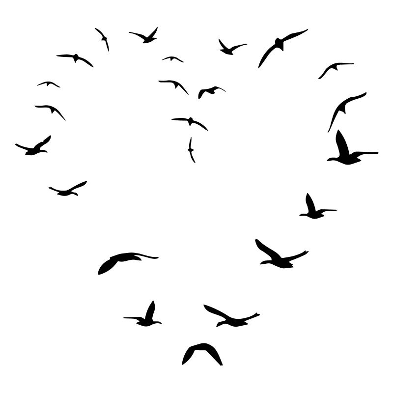 birdheart