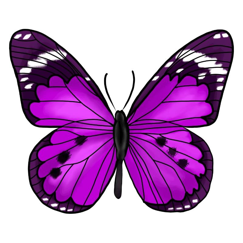 Schmetterling lila