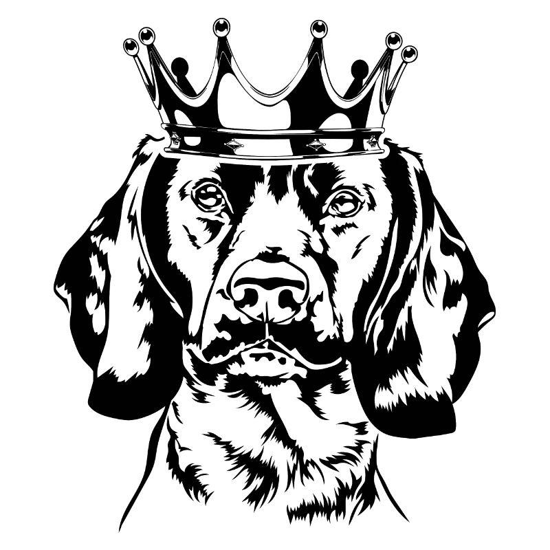 Bavarian Mountain Hound Krone Wilsigns