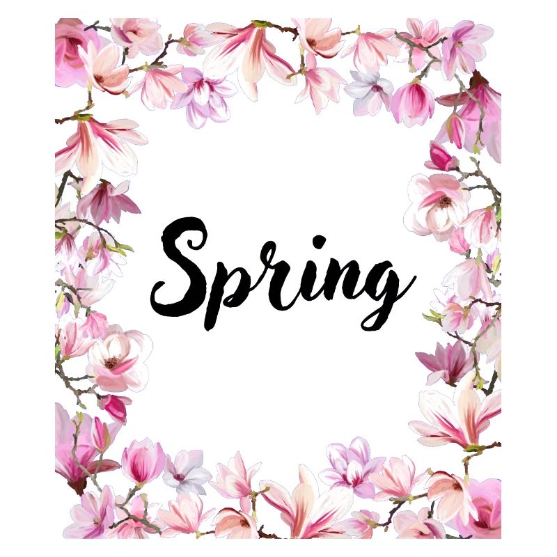 Frühling Magnolien