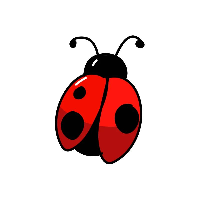 Marienkäfer