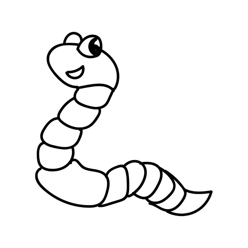Regenwurm