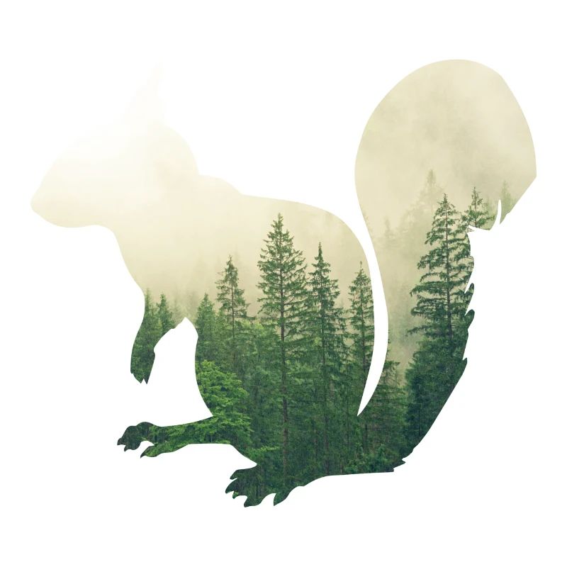 Eichhoernchen - Wald Doppelbelichtungs-Effekt