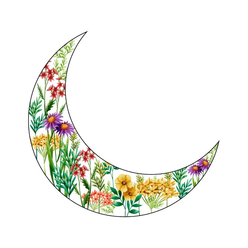 Wildblumen Blumen