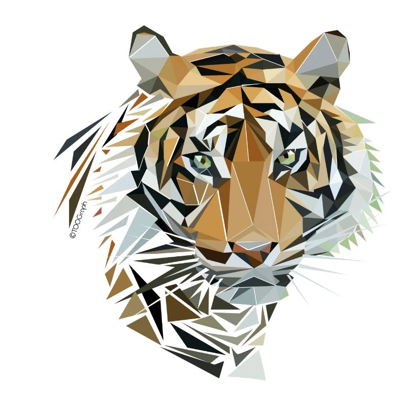 Tigris