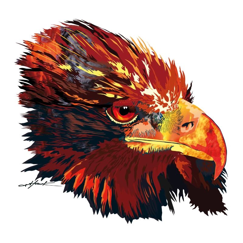 Adler arthawk
