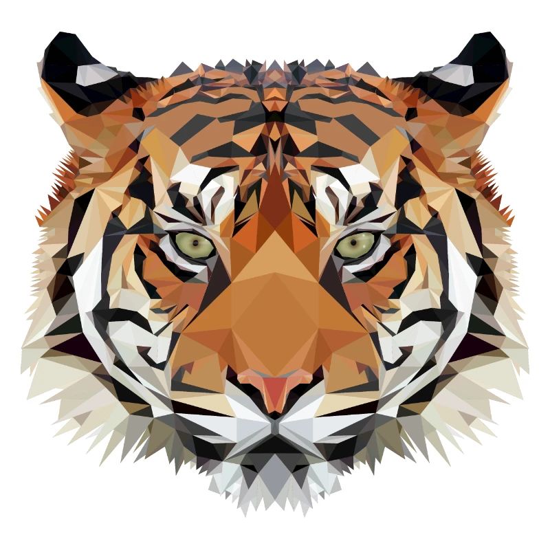 Geo Tiger