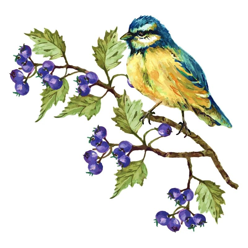 Bunter Vogel