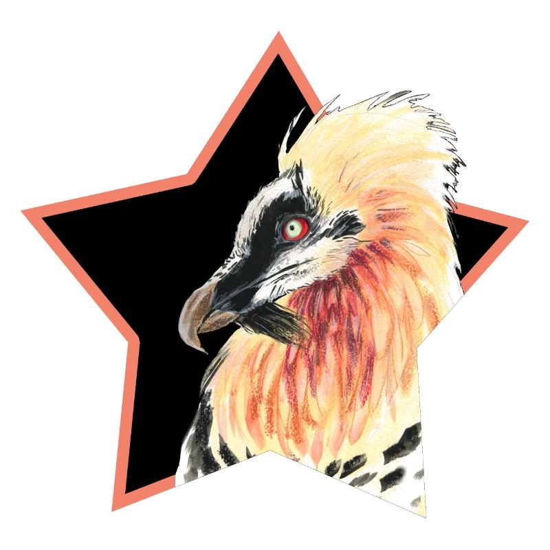 Bartgeier
