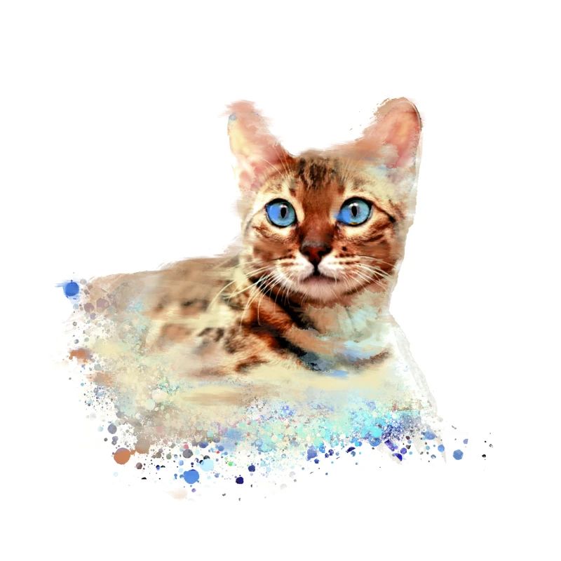 bengalkatze,katze,bengal,graffiti,malerei,aquarell