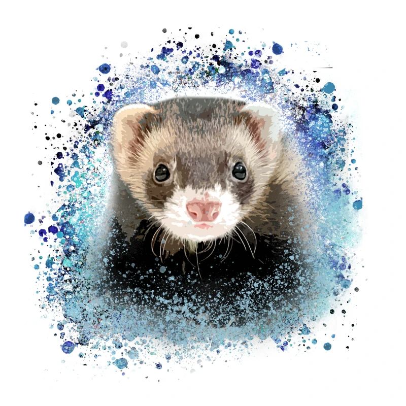 ferrets,blue,graffiti,iltis