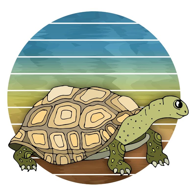 Schildkröte