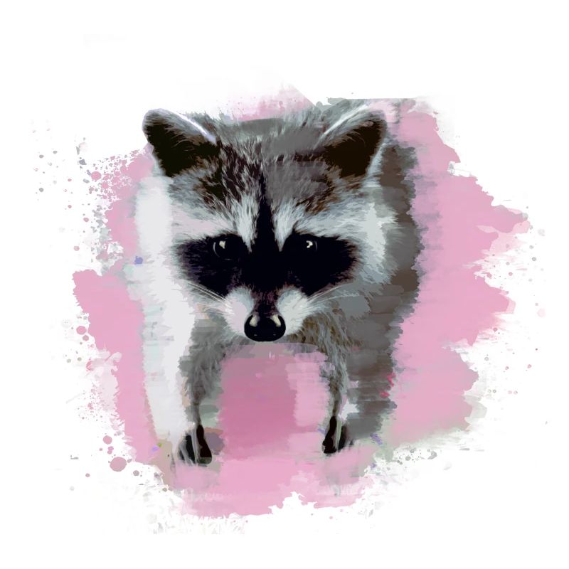 waschbär,bär,graffiti,malerei,rosa,obst
