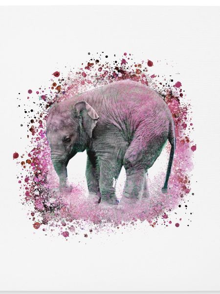 babyelefant,elefant,graffiti,rosa,malerei