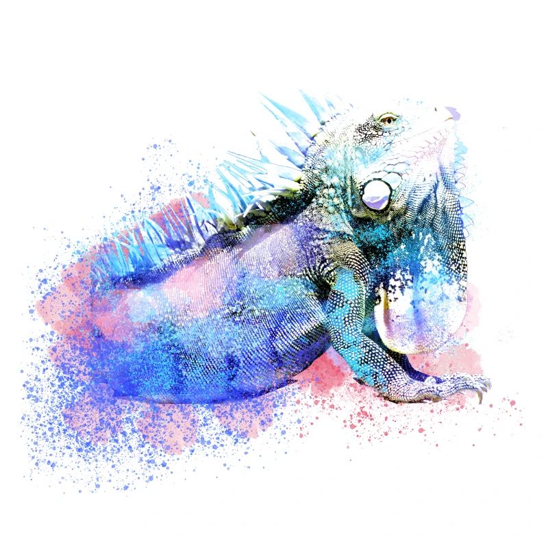 leguan,echse,grün,bunt,illustration