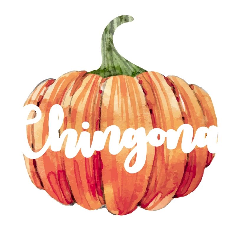 Chingona Kürbis