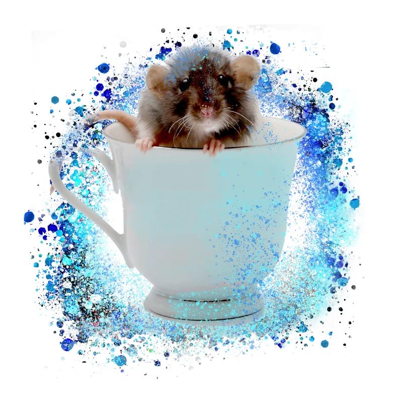 Rat,mouse,cup,graffiti,painting