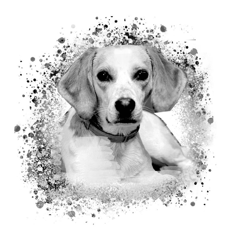 harrier,hund,beagle,graffiti,malerei