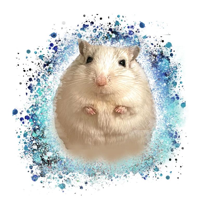 Springmaus,maus,graffiti,malerei,spitzmaus