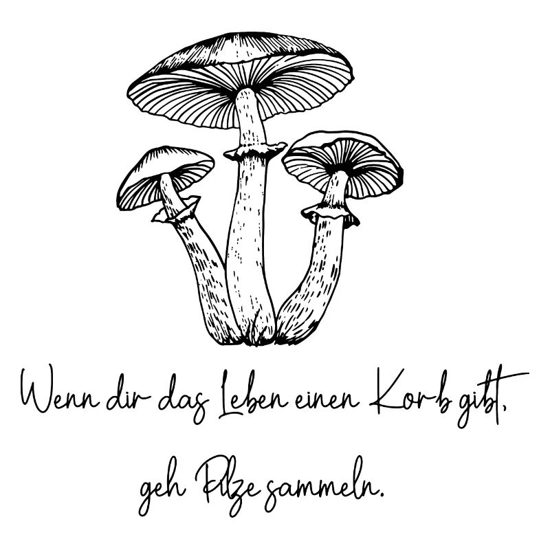 Pilze Sammeln