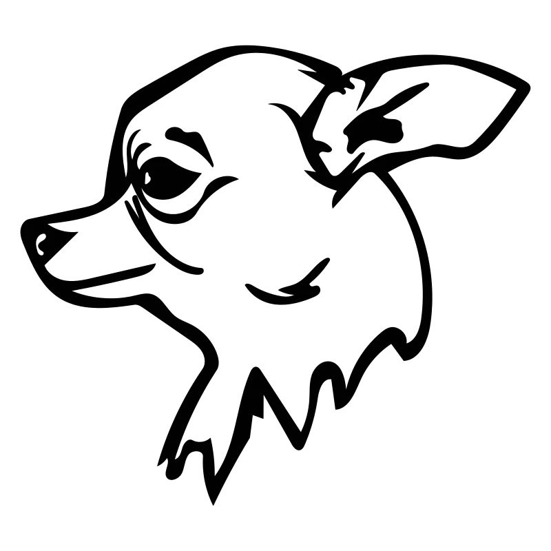 Hund