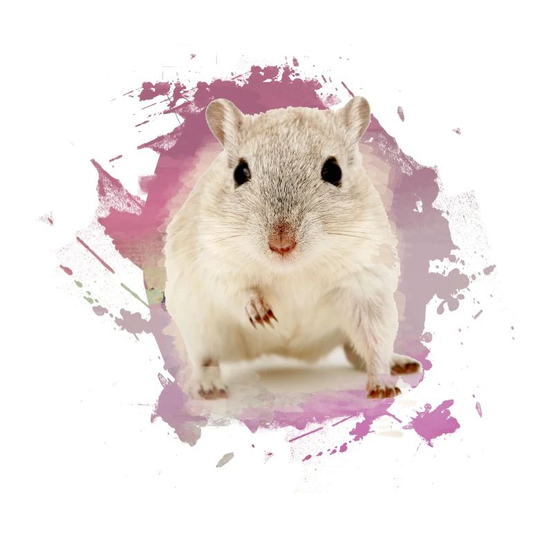 zwerghamster,hamster,rosa,graffiti,malerei