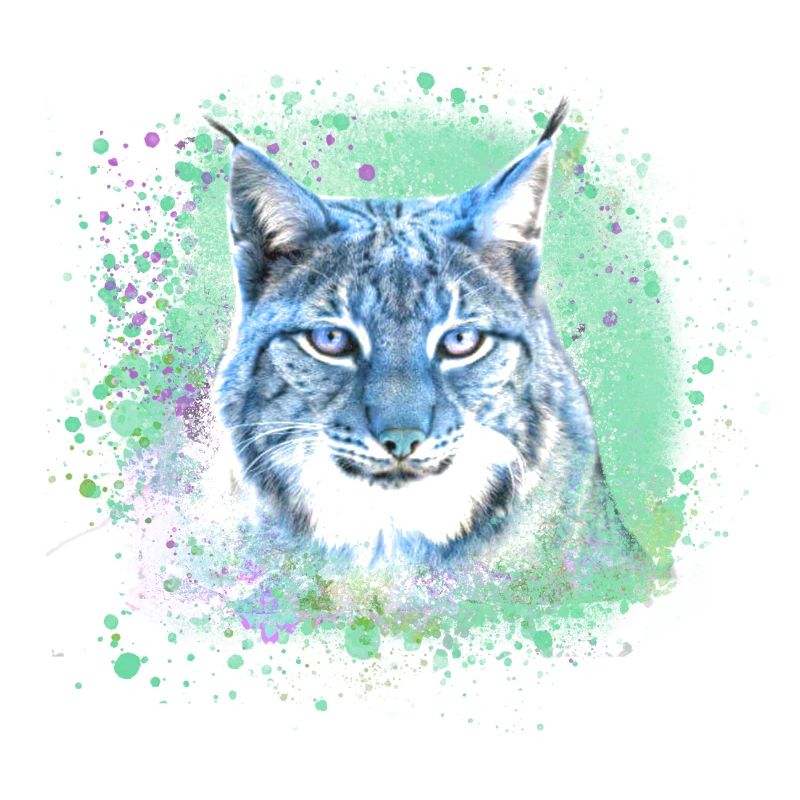 wildkatze,luchs,blau,graffiti,malerei,katze