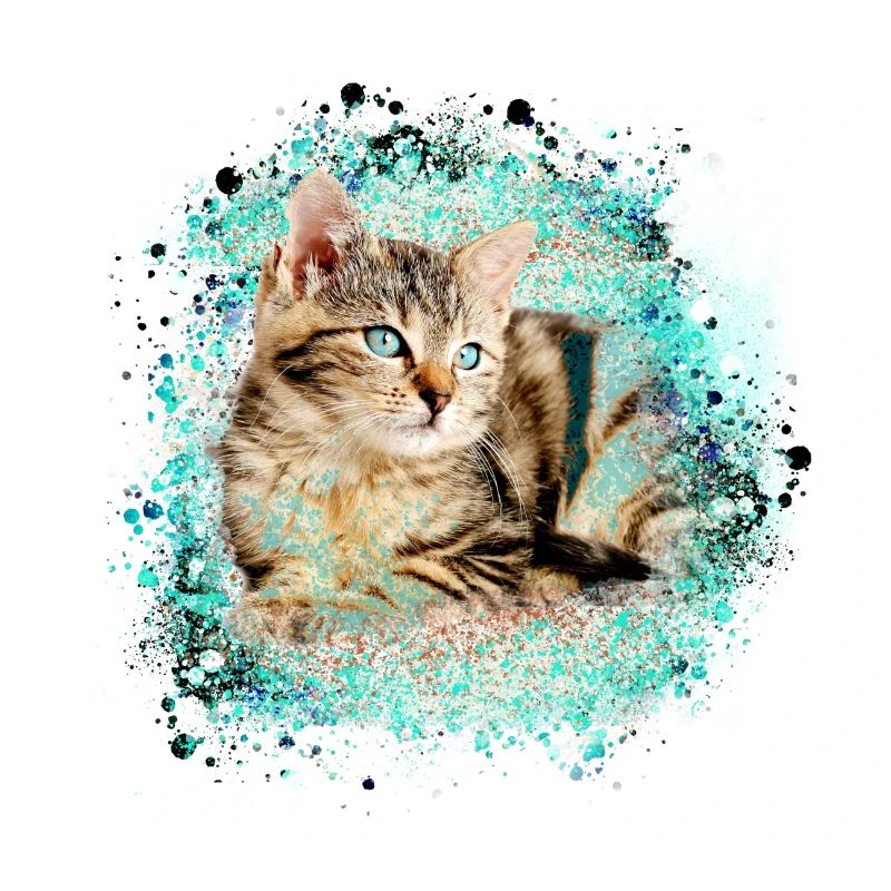 katze, bunt,aquarell, malerei,graffiti,tigerkatze,