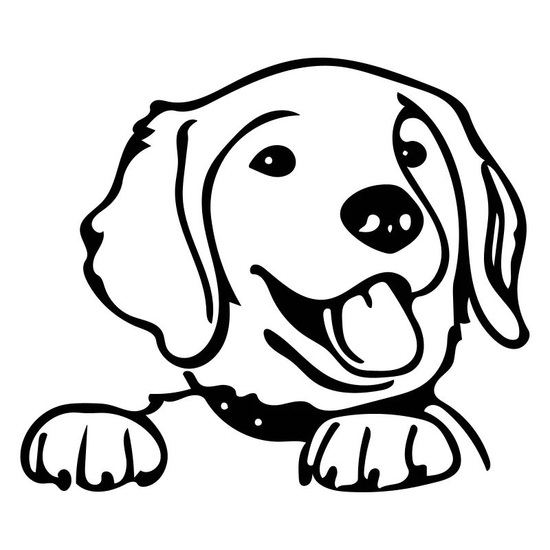 Hund