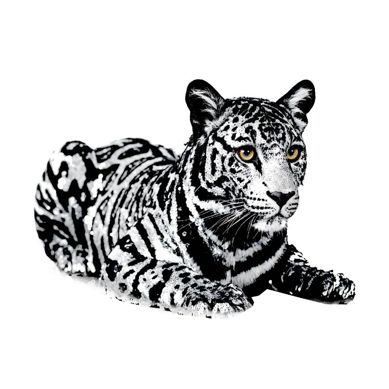 Tiger,leopard,sequins,glitter,black and white