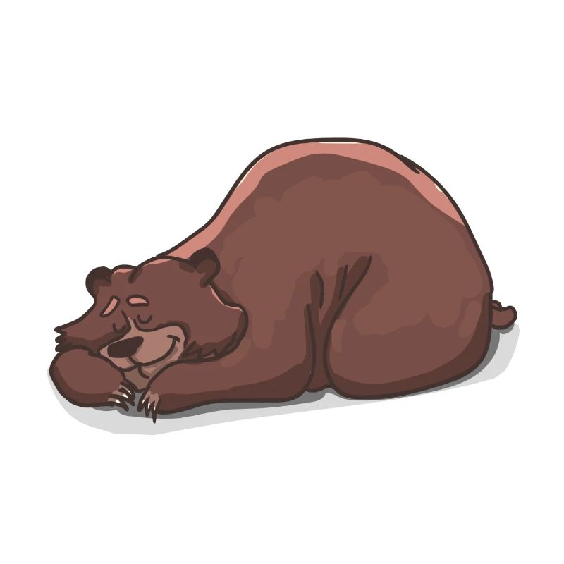 Der schlafende Bär