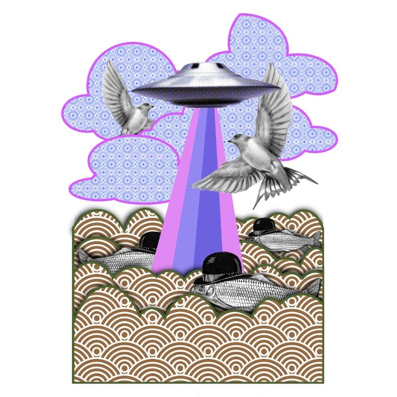 Flamingo