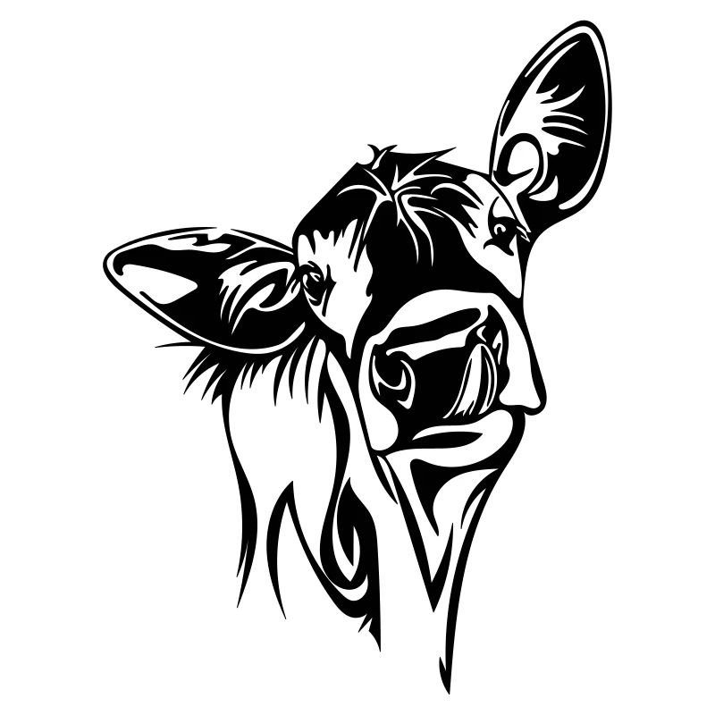 Vache