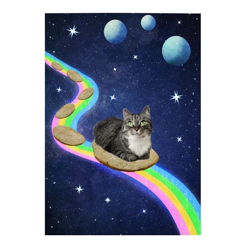 Chat mignon dans l’espace