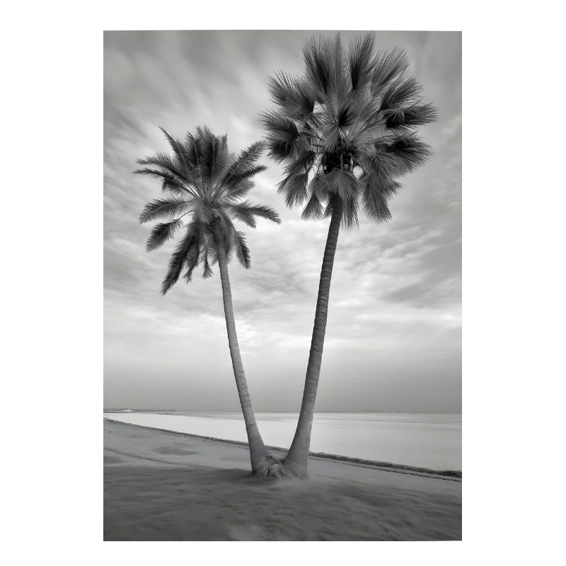 Beach Palm Trees Black & White