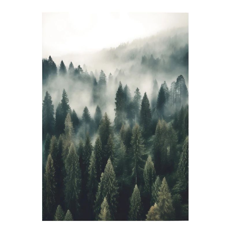 Wald Nebel