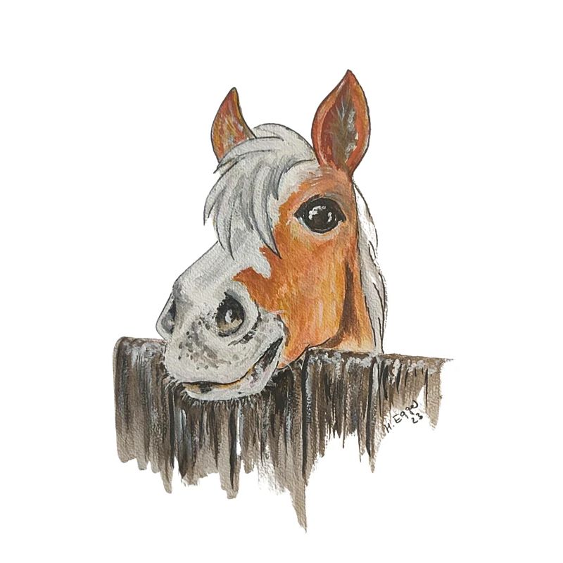 Pferd "Knopf"