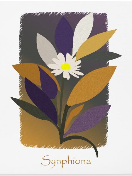 Warm gefärbte Synphonia-Blume