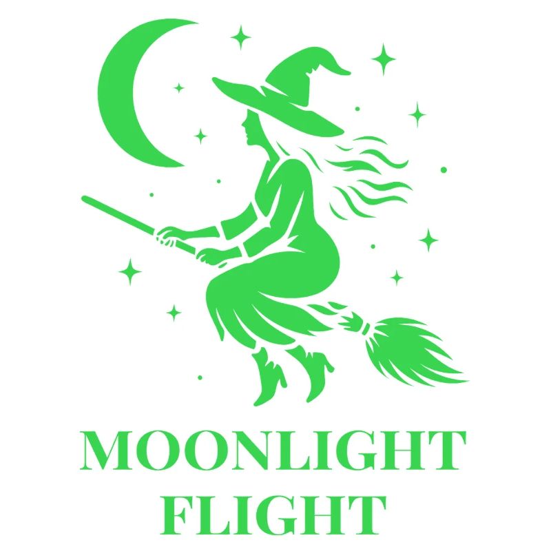 Witch flies through the night by moonlight