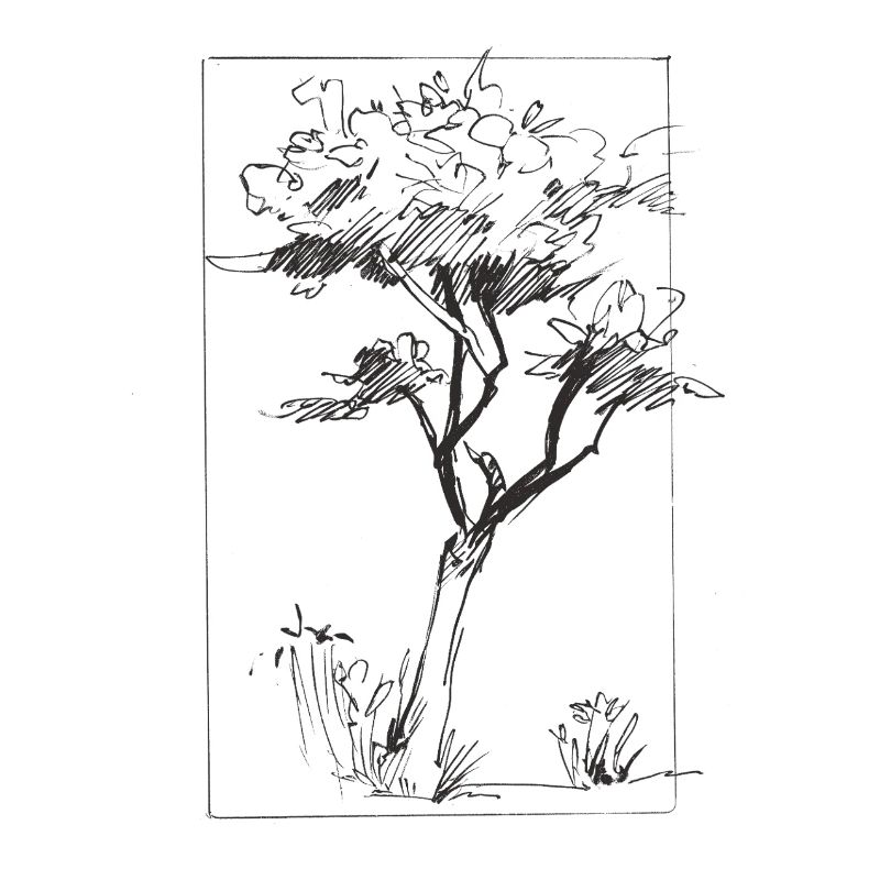 Tree sketch