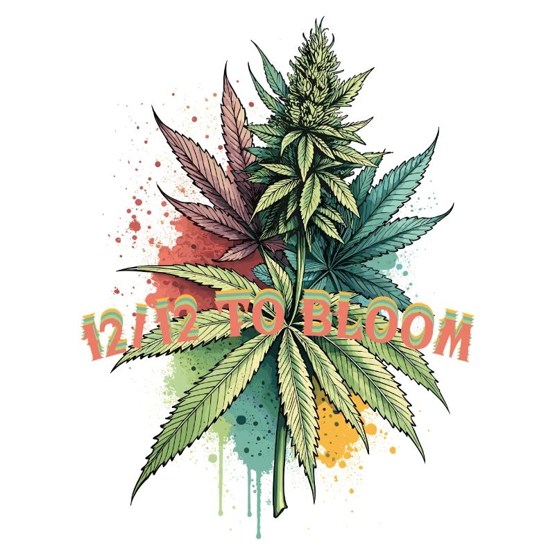 12 /12 to bloom