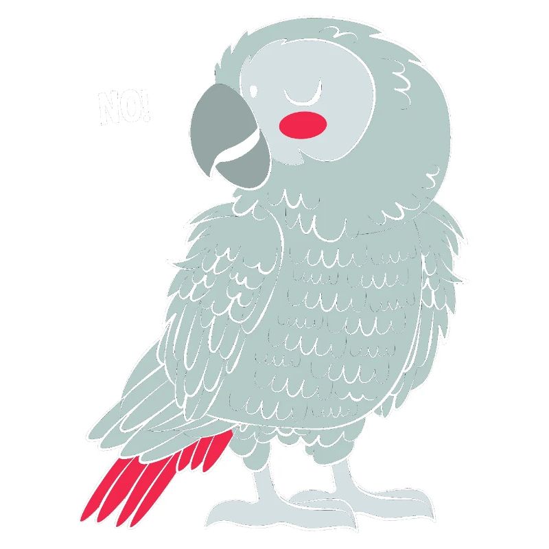 Papagei Grau Graupapagei