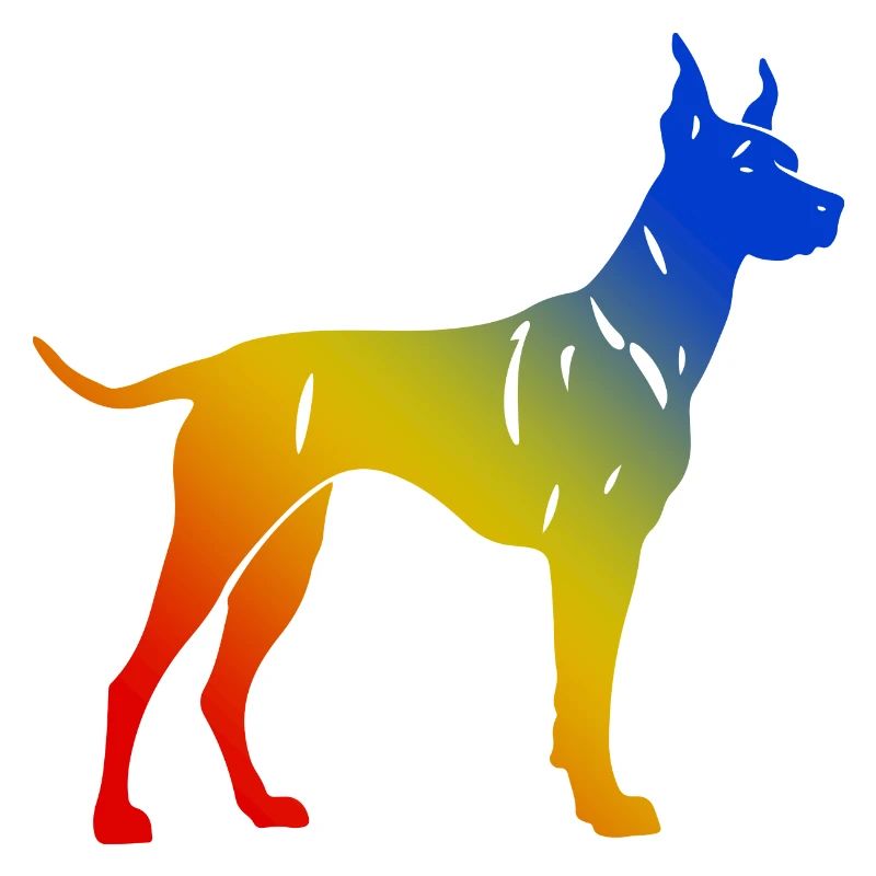 Doberman Hund Bunt