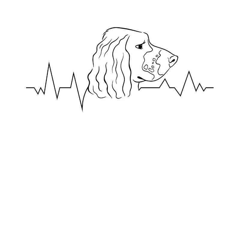 Hunderasse Englisch Springer-Spaniel