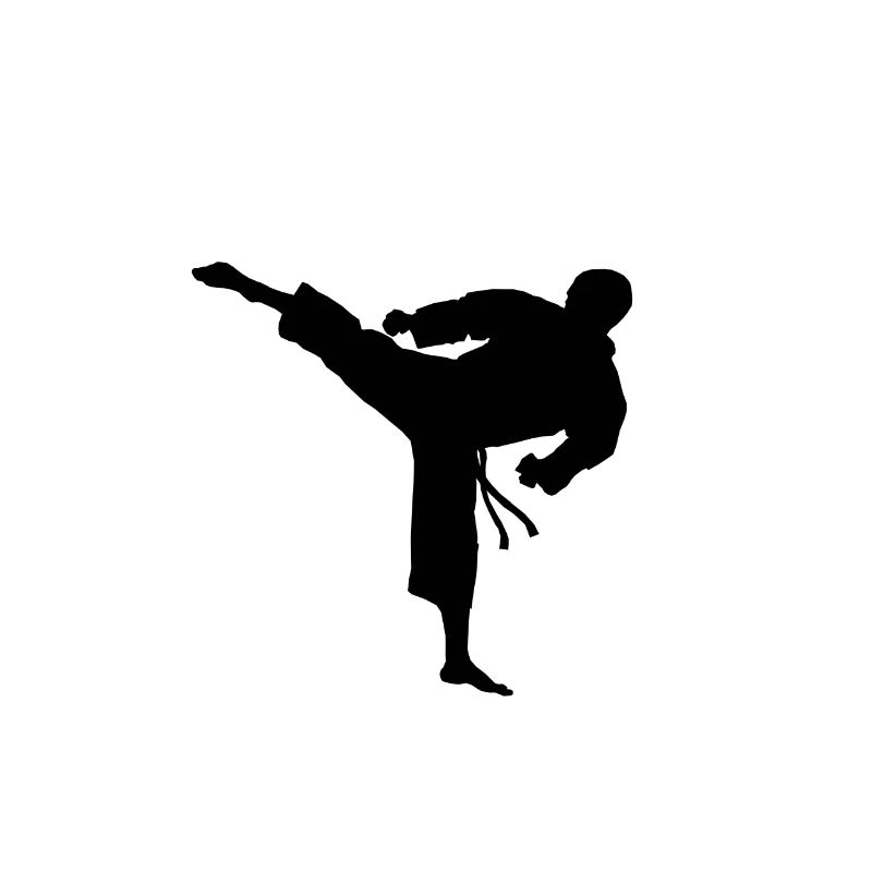 Karate Kick